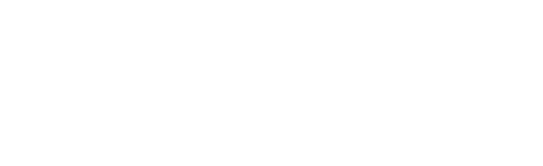 MetaMirror LLC